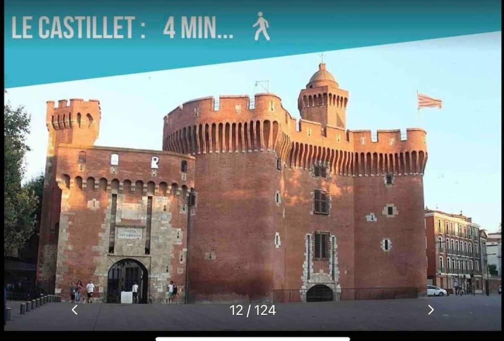 En Plein Coeur De Perpignan Le Charmant Zewnętrze zdjęcie